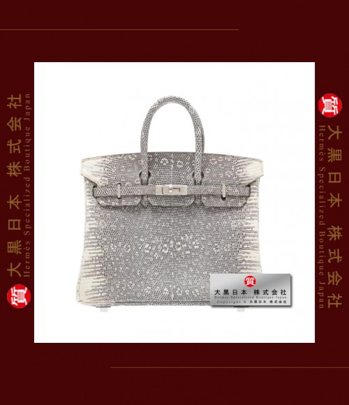 HERMES BIRKIN 25 (Pre-owned) - Ombre, Natural lizard skin, Phw